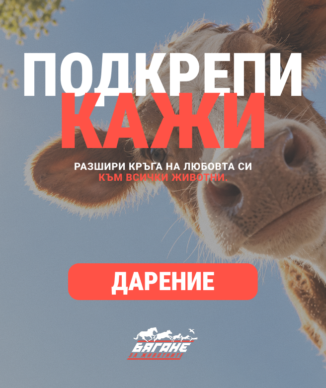 Бягане за животните - кокошка